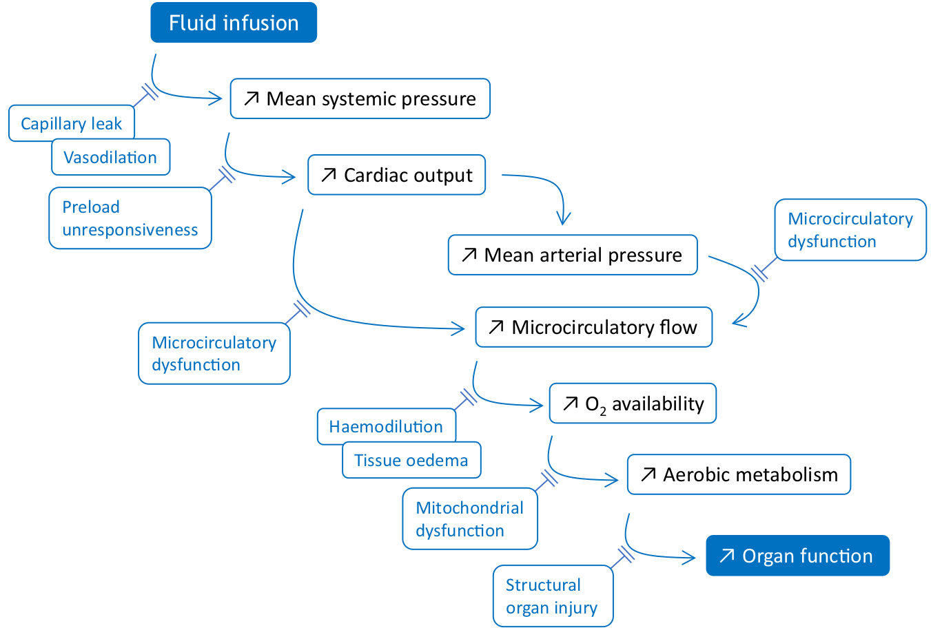 Illustration of the physiological steps from fluid administration to benefit. Reprinted from Monnet et al., 2018 [8] (CC BY).