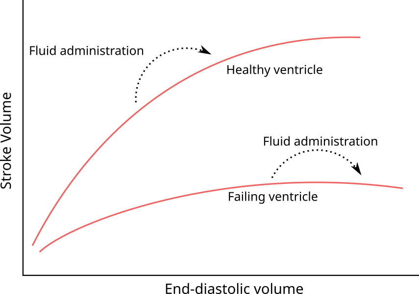 Illustration of the Frank-Starling mechanism—the relation between the end-diastolic volume and the stroke volume. If end-diastolic volume is increased in a heart operating on the steep part of the curve (e.g. by a fluid bolus) stroke volume will increase. If the heart is already operating on the flat part of the curve, no increase in stroke volume can be expected.
